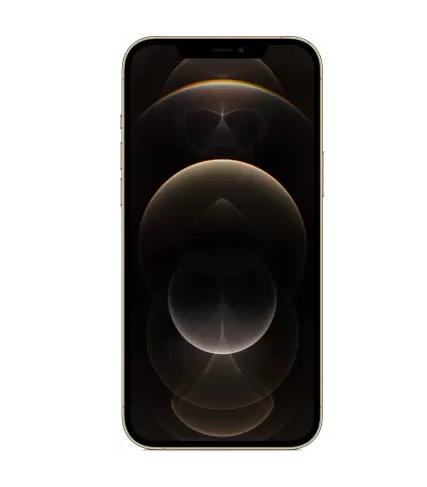 Buy apple iphone 12 pro max gold 512 gb - fliptwirls Online