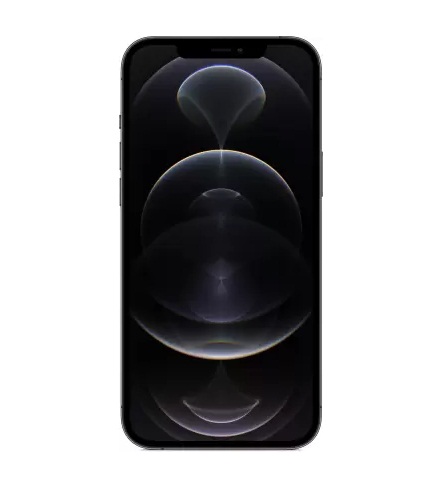 Buy apple iphone 12 pro max graphite 128 gb - fliptwirls Online