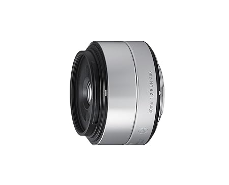 Buy sigma 30mm f28 ex dn art silver for sony se - fliptwirls