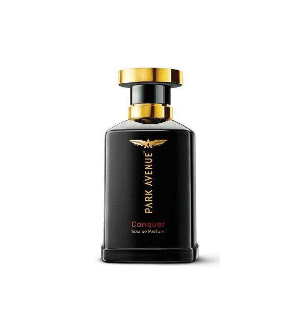 Park Avenue Perfume for Men, Conquer 100ml
