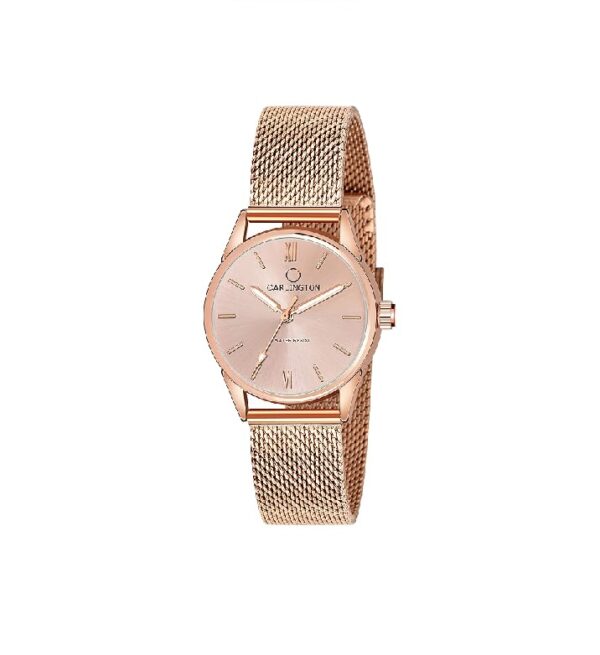 Carlington Analog Watches for Women with mesh Strap - CT 2008