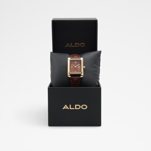 Carindra Women's Brown Watches Aldo