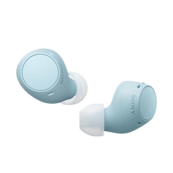 Sony Wf-C510 Truly Wireless Bluetooth Earbuds with Mic, TWS, Up to 22 Hours Battery (Blue)