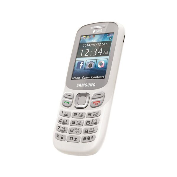 SAMSUNG Metro 313  (White) - Image 2